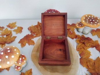 boîte à bijoux arbre de vie en bois de sheesam - 002